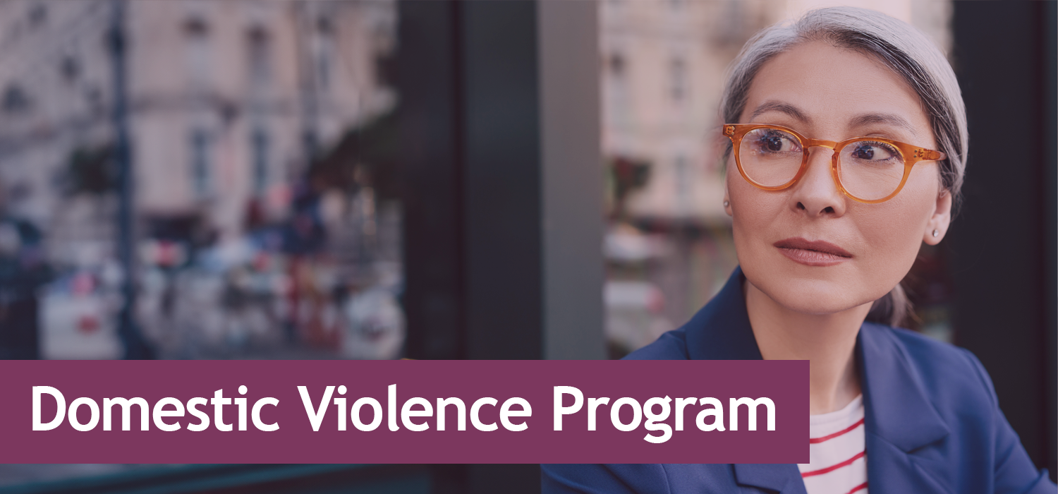 Banner image with the words "Domestic Violence Program"