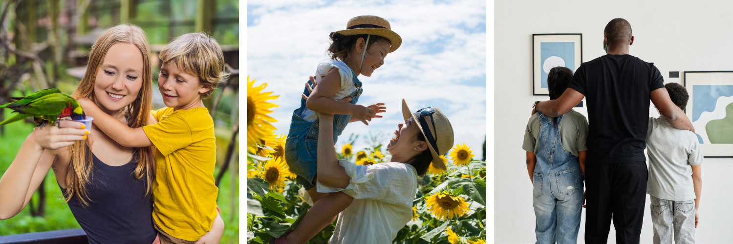 The image shows three separate photos: 1) A woman holding a young boy while a colorful bird perches on her hand; 2) A woman in a straw hat holding a small child up in the air in a field of sunflowers; 3) A man with his arms around two young boys as they all look at art on a wall.