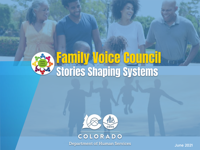 Family Voice Council report cover image