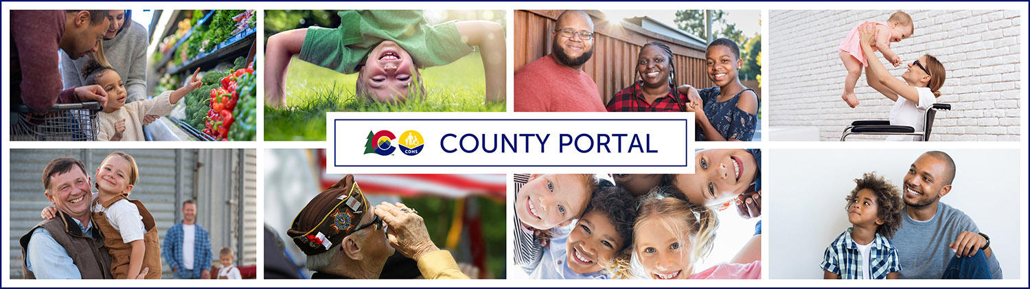 County Portal header image