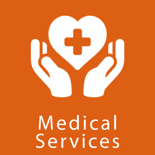 Icon and the words "Medical Services"