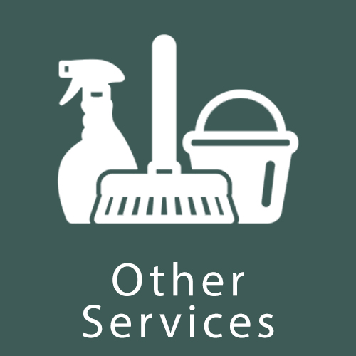 Icon and the words "Other Services"